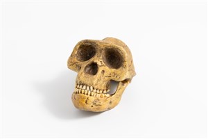 Image description is not available for 2018.2.4